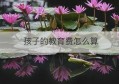 孩子的教育费怎么算(离婚两个孩子一人一个教育费怎么算)