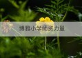 博雅小学师资力量(博雅小学教师招聘)