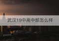 武汉19中高中部怎么样(武汉19中是省重点还是市重点)