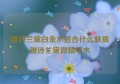 雅诗兰黛白金水适合什么肤质雅诗兰黛微精华水