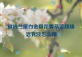 雅诗兰黛白金级花菁萃紧颜焕活乳液怎么用