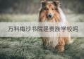 万科梅沙书院是贵族学校吗(万科梅沙书院属于什么档次)