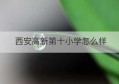 西安高新第十小学怎么样(西安高新第八小学官方)