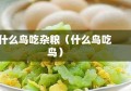 什么鸟吃杂粮（什么鸟吃鸟）