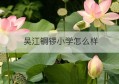 吴江铜锣小学怎么样(吴江区北厍小学)