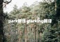 park翻译-parking翻译