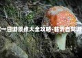 临沂自驾一日游景点大全攻略-临沂自驾游必去景点