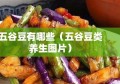 五谷豆有哪些（五谷豆类养生图片）