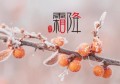 霜降会打霜吗(打霜是什么季节)