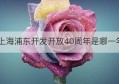 上海浦东开发开放40周年是哪一年(上海浦东开发开放时间)