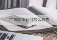 广东顺丰到付怎么收费(深圳顺丰到付收费标准)