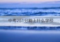 中考251分能上什么学校(美术251分文化380能上什么学校)