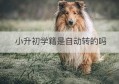 小升初学籍是自动转的吗(小升初跨区转学籍需要什么手续)