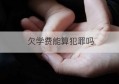 欠学费能算犯罪吗(研究生学费一年多少)