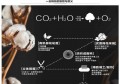 重庆大米的功效和作用禁忌"(生姜炒大米的功效与作用及禁忌)