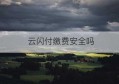 云闪付缴费安全吗(云闪付app交费安全吗)