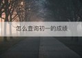 怎么查询初一的成绩(怎么查询初级会计报名是否成功)