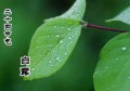 白露节气的特点(白露节气的含义是什么)