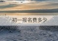 初一报名费多少(大冶初一报名费多少钱)