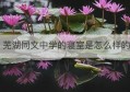 芜湖同文中学的寝室是怎么样的(芜湖同文高级中学漳河路校区)