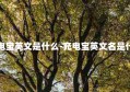 充电宝英文是什么-充电宝英文名是什么