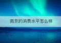 南京的消费水平怎么样(南京消费水平高吗?)