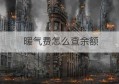 暖气费怎么查余额(暖气费怎么换算成吨标煤)