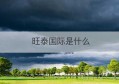 旺泰国际是什么(深圳市旺泰电子有限公司)