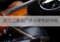 武汉江夏区广升小学有初中吗(武汉江夏区广升小学有初中吗)