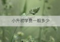 小升初学费一般多少