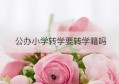 公办小学转学要转学籍吗(转学不转学籍有什么影响)