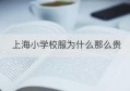 上海小学校服为什么那么贵(小学校服图片)