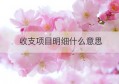 收支项目明细什么意思(收支项目是什么意思)