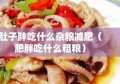 肚子胖吃什么杂粮减肥（肥胖吃什么粗粮）