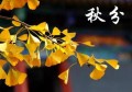 秋分节气的含义是什么(秋分的诗句)