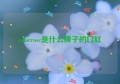 colorrose是什么牌子的口红