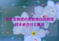 资生堂新透白美肌臻白祛斑精粹水适合什么肤质