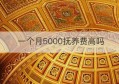 一个月5000抚养费高吗(一个月5000抚养费高吗多少钱)