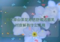 溪木源山茶花沁透舒缓洁面乳对皮肤有什么作用