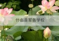 什么是军备学校(军备是啥)