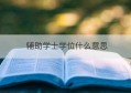 辅助学士学位什么意思(辅助学位是双学士学位吗)