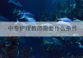 中专护理教师需要什么条件