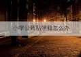 小学公转私学籍怎么办