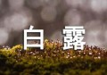 白露气温多少度(白露星穹铁道)