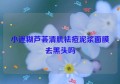 小迷糊芦荟清肌祛痘泥浆面膜去黑头吗