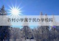 农村小学属于民办学校吗(民办学校属于企业吗)