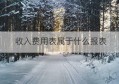 收入费用表属于什么报表(收入和费用的报表)