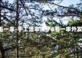 手工活串珠子8毛一串-手工活串珠子8毛一串外发可以手带回家做