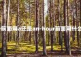 hour前面用a还是an-hour前面用什么介词