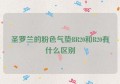 圣罗兰的粉色气垫BR20和B20有什么区别